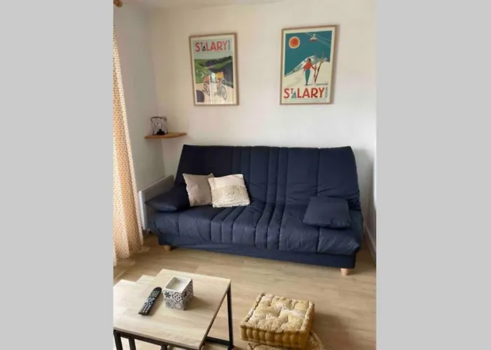 T2 Pla D'adet Au Pied Des Pistes Апартаменты Сен-Лари-Сулан